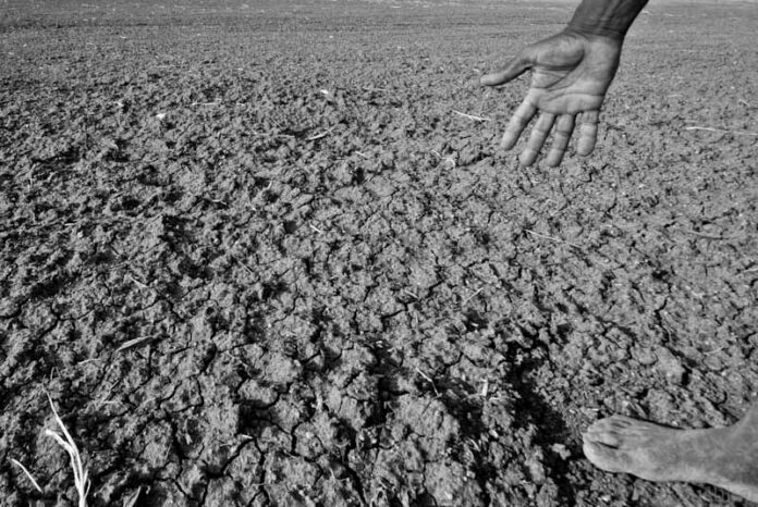 Drought in Karnataka