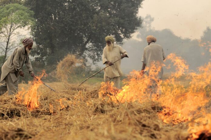 Stubble Burning degrading Air Quality