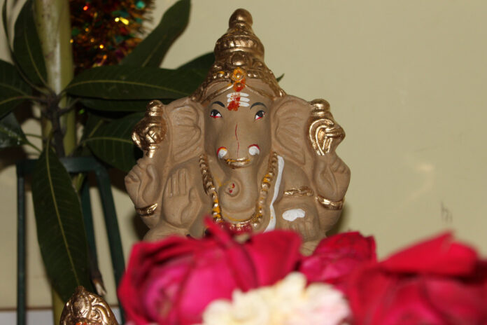 eco ganesha