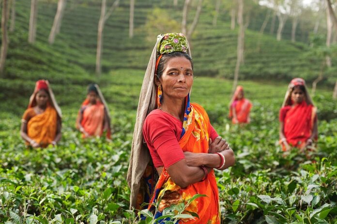 rural women in India