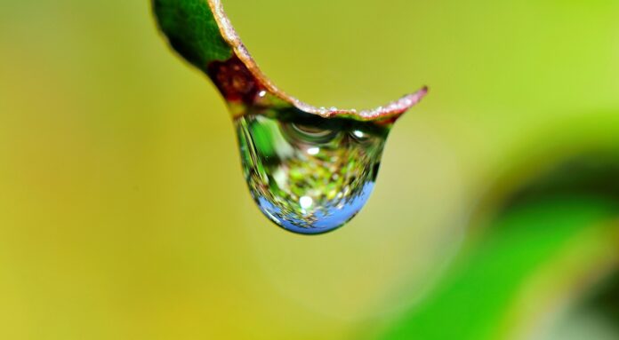 water drop