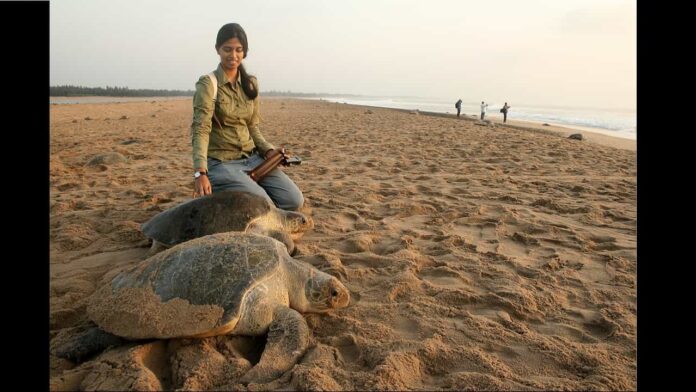 Marine biologist Divya Karnad