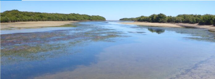 Indore and Udaipur Joins Wetlands Accredited Cities by UNESCO