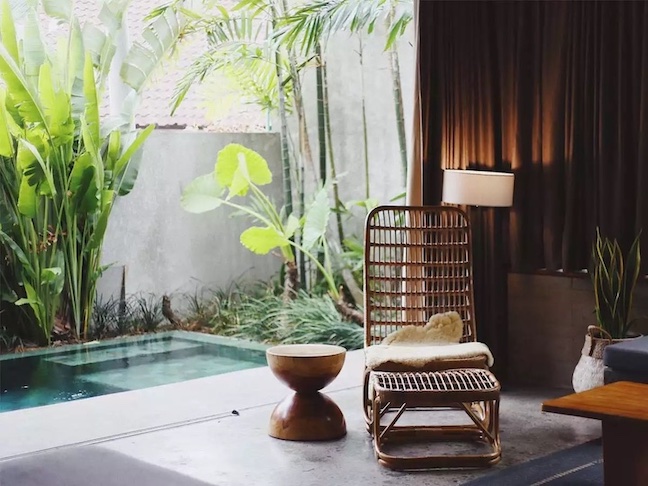 Sustainable Home Decor