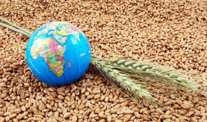 Global-Food-Security