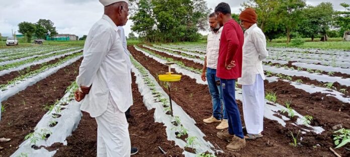 CSR Collaboration to Empower Smallholder Farmers in Maharashtra and Andhra Pradesh