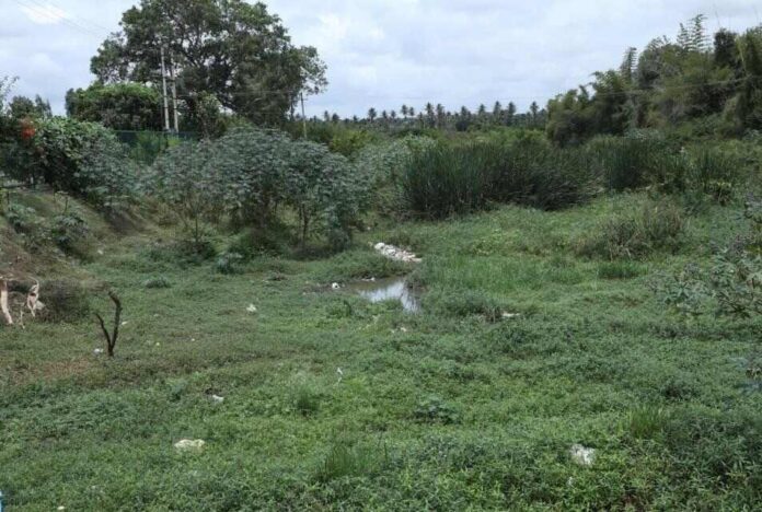 CSR: Bommanahalli Lake to be rejuvenated under 'Wake The Lake' campaign