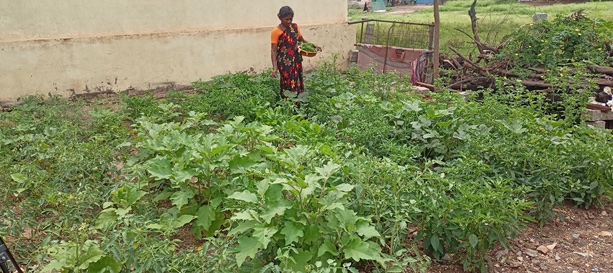 CSR Empowers Rural Women in Karnataka through Kitchen Garden Intervention Program