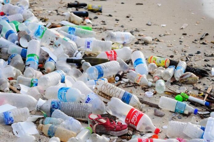 220 million tonnes of plastic waste will be created in 2024: Study