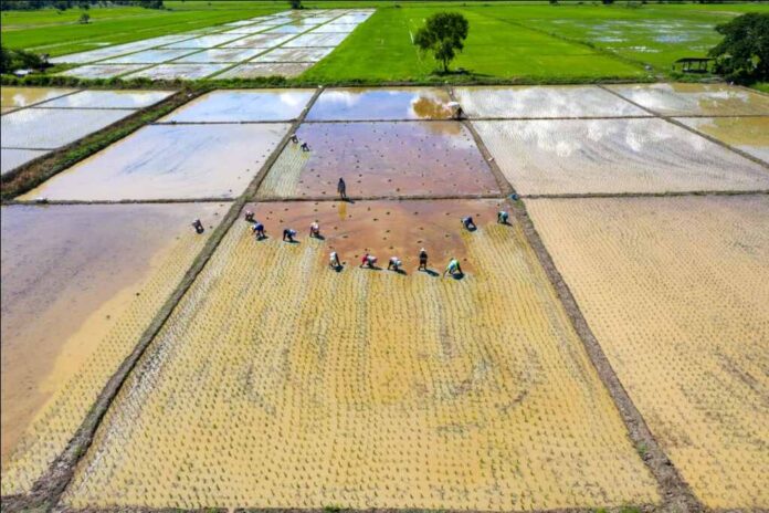 CSR: Solar Lift Irrigation Systems installed to benefit farmers in Bilaspur