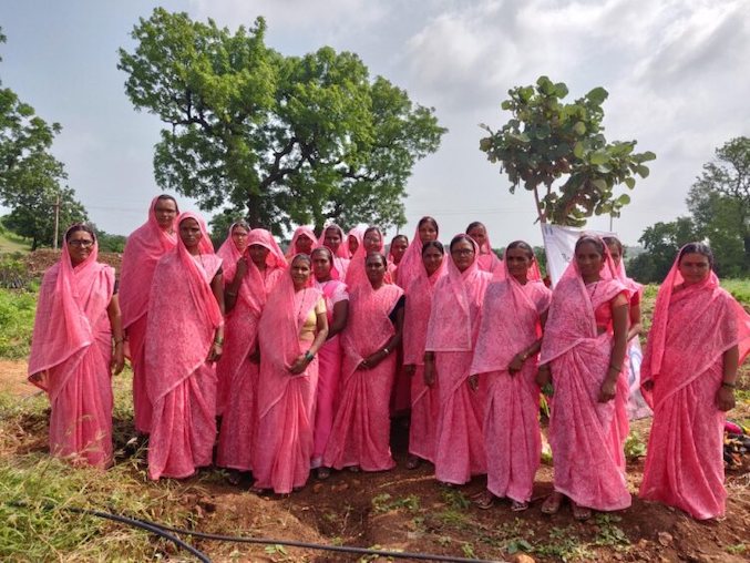 CSR initiative planting over 12,000 saplings in Jalgaon to strengthen the Agrarian Community