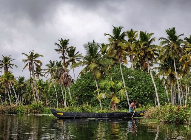 Indian Wetlands