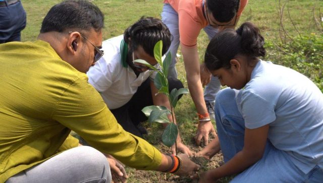 Instant loan company celebrates 8th anniversary with tree plantation CSR drive