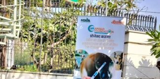 Select Launch of CSR Project Karuna to Vaccinate Street Dogs Launch of CSR Project Karuna to Vaccinate Street Dogs