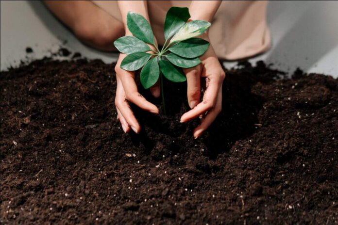 Students of Adani Vidya Mandir, Bhadreshwar, pledge to plant over 25,000 saplings