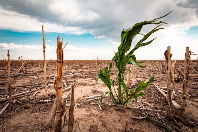 Agriculture Climate Change