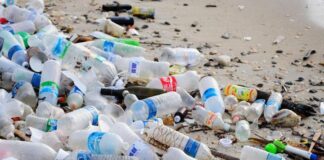 Select 220 million tonnes of plastic waste will be created in 2024: Study 220 million tonnes of plastic waste will be created in 2024: Study