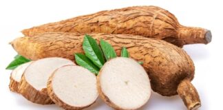 Select How Bioplastics from cassava are boosting local economy in Nagaland How Bioplastics from cassava are boosting local economy in Nagaland