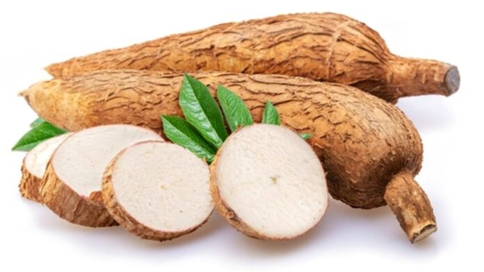 Select How Bioplastics from cassava are boosting local economy in Nagaland How Bioplastics from cassava are boosting local economy in Nagaland