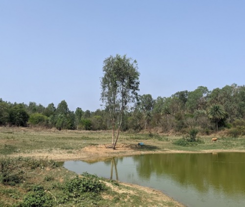 Mullur Lake East Bengaluru