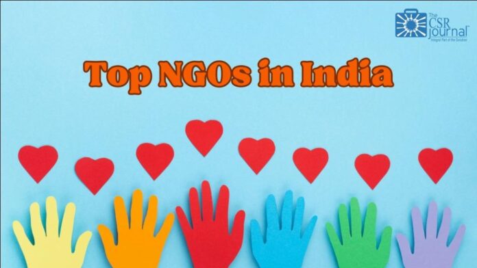 Top 20 NGOs in India 2024