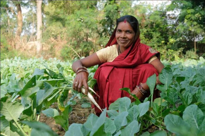 CSR News: Ambuja Cements empowers rural women entrepreneurs in Chhattisgarh’s Bhatapara through ‘Lakhpati Didi’ initiative