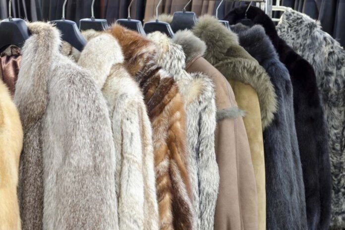 India Bans Export of Reptile Skins & Various Items of Animal Fur Following Efforts by PETA India, Maneka Gandhi